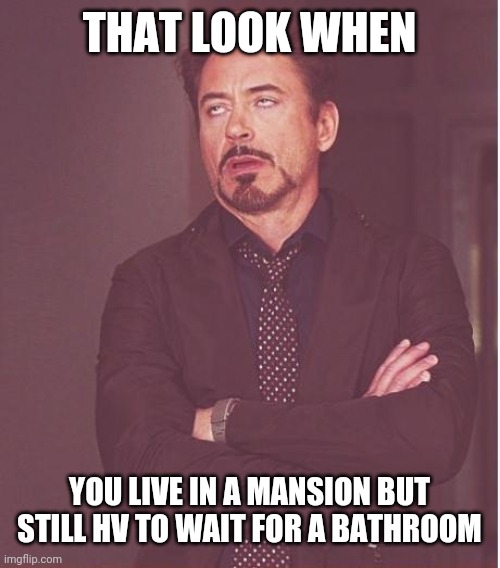 Face You Make Robert Downey Jr | THAT LOOK WHEN; YOU LIVE IN A MANSION BUT STILL HV TO WAIT FOR A BATHROOM | image tagged in memes,face you make robert downey jr | made w/ Imgflip meme maker