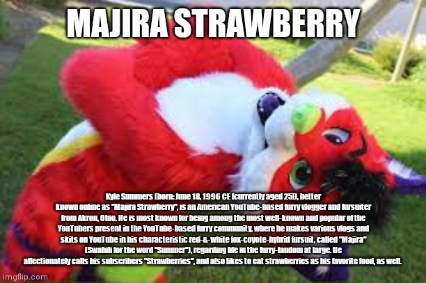 MAJIRA STRAWBERRY: A Short YouTuber's Biopic | MAJIRA STRAWBERRY; Kyle Summers (born: June 18, 1996 CE [currently aged 25]), better known online as "Majira Strawberry", is an American YouTube-based furry vlogger and fursuiter from Akron, Ohio. He is most known for being among the most well-known and popular of the YouTubers present in the YouTube-based furry community, where he makes various vlogs and skits on YouTube in his characteristic red-&-white fox-coyote-hybrid fursuit, called "Majira" (Swahili for the word "Summer"), regarding life in the furry-fandom at large. He affectionately calls his subscribers "Strawberries", and also likes to eat strawberries as his favorite food, as well. | image tagged in majira,the furry fandom,people | made w/ Imgflip meme maker