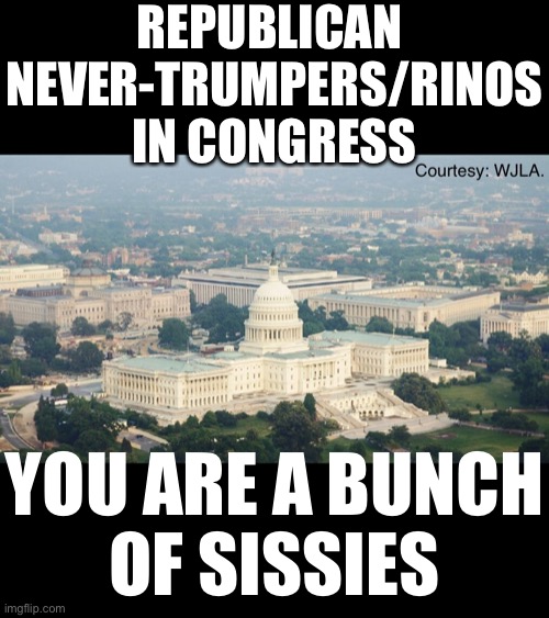 Republican sissies! | REPUBLICAN 
NEVER-TRUMPERS/RINOS
IN CONGRESS; YOU ARE A BUNCH
OF SISSIES | image tagged in republican party,sissy,cowards,useless,traitors,remove | made w/ Imgflip meme maker