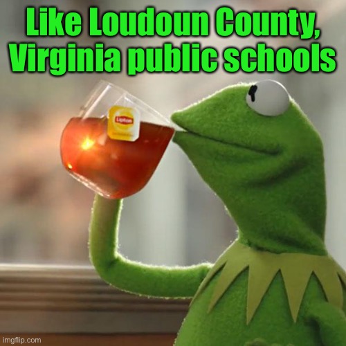 But That's None Of My Business Meme | Like Loudoun County, Virginia public schools | image tagged in memes,but that's none of my business,kermit the frog | made w/ Imgflip meme maker