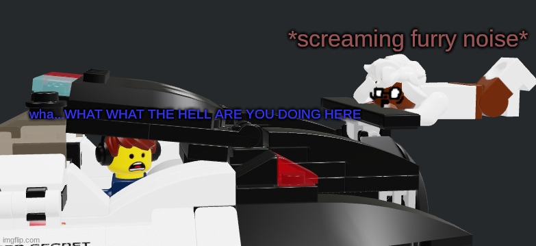 no regrets | *screaming furry noise*; wha...WHAT WHAT THE HELL ARE YOU DOING HERE | made w/ Imgflip meme maker