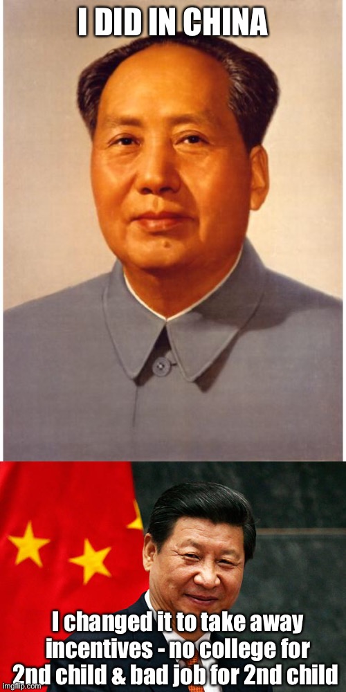 I DID IN CHINA I changed it to take away incentives - no college for 2nd child & bad job for 2nd child | image tagged in chairman mao,xi jinping | made w/ Imgflip meme maker