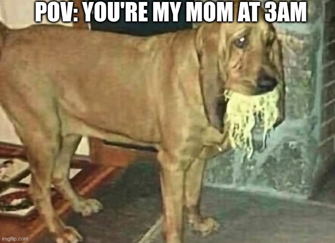 help | POV: YOU'RE MY MOM AT 3AM | image tagged in funny memes | made w/ Imgflip meme maker