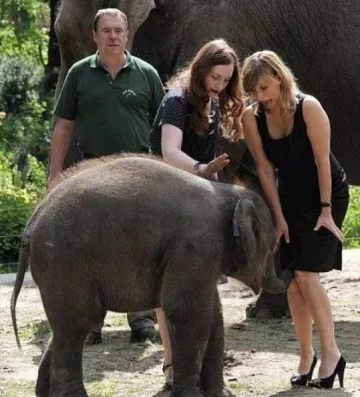 i wish Blank Meme Template