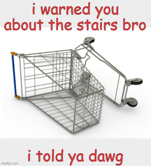 Shopping Cart On Side | i warned you about the stairs bro; i told ya dawg | image tagged in shopping cart on side | made w/ Imgflip meme maker