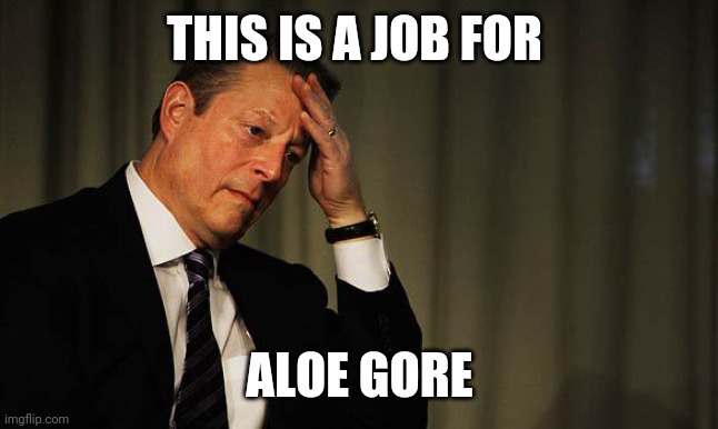 THIS IS A JOB FOR ALOE GORE | image tagged in al gore facepalm | made w/ Imgflip meme maker