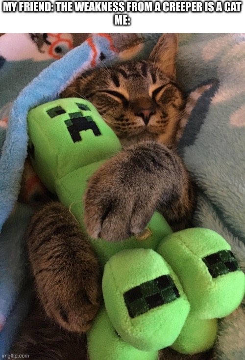 Weakness? | MY FRIEND: THE WEAKNESS FROM A CREEPER IS A CAT
ME: | image tagged in cat hugging creeper | made w/ Imgflip meme maker