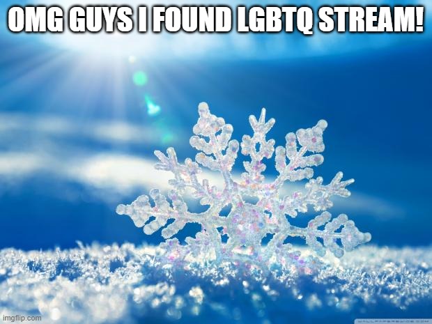 snowflake | OMG GUYS I FOUND LGBTQ STREAM! | image tagged in snowflake | made w/ Imgflip meme maker