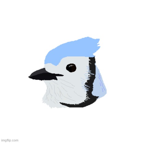 wip blue jay digital art | made w/ Imgflip meme maker
