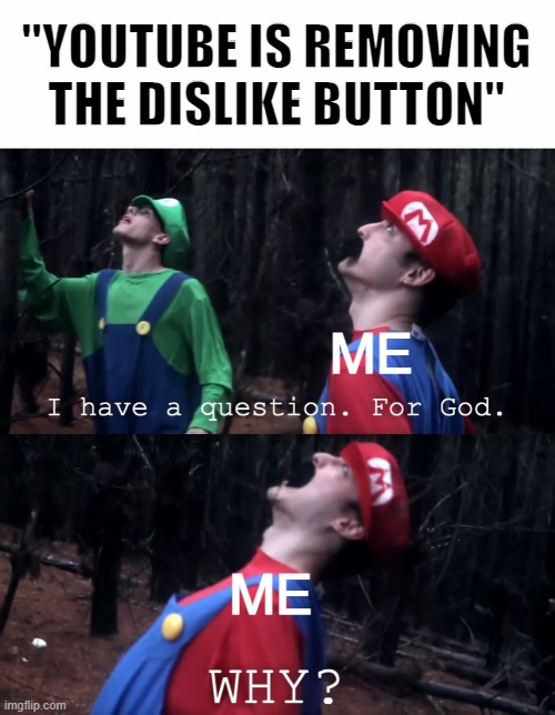 why youtube...? |  "YOUTUBE IS REMOVING THE DISLIKE BUTTON"; ME; ME | image tagged in i have a question for god,memes,youtube,funny,fun,meme | made w/ Imgflip meme maker