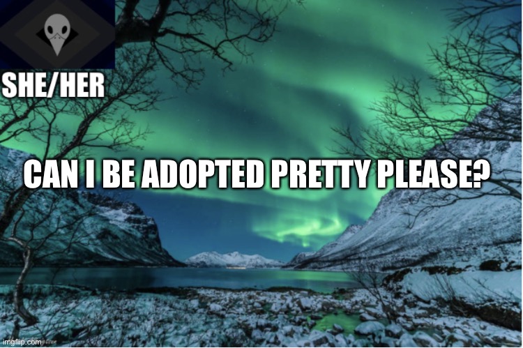 Northern Lights Termcollector Template |  CAN I BE ADOPTED PRETTY PLEASE? | image tagged in northern lights termcollector template | made w/ Imgflip meme maker