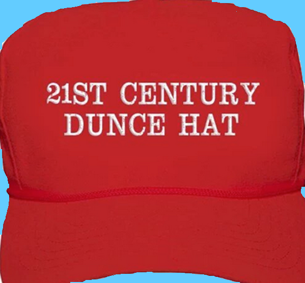 High Quality 21st CENTURY DUNCE HAT Blank Meme Template