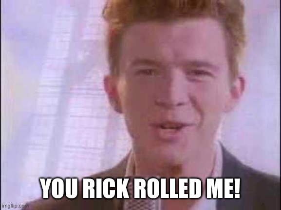 rick roll | YOU RICK ROLLED ME! | image tagged in rick roll | made w/ Imgflip meme maker
