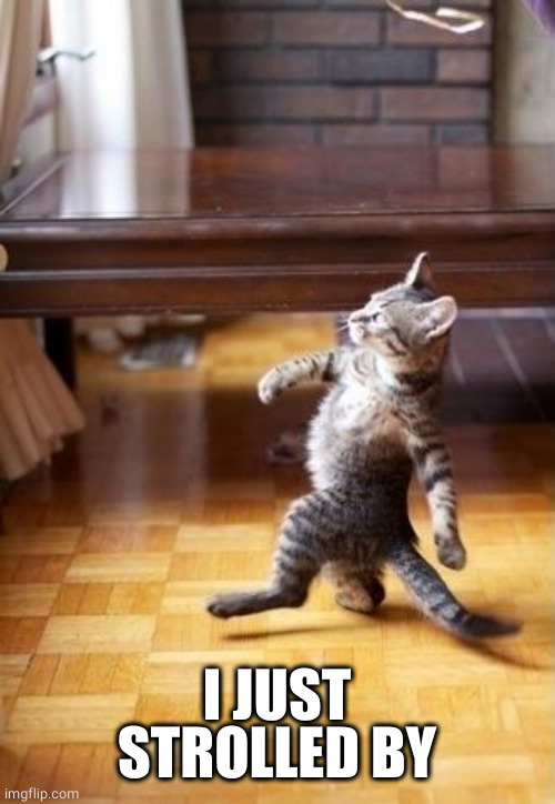 Cool Cat Stroll Meme | I JUST STROLLED BY | image tagged in memes,cool cat stroll | made w/ Imgflip meme maker
