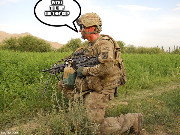 ptsd | WE’RE THE HAY DID THEY GO? | image tagged in ptsd | made w/ Imgflip meme maker
