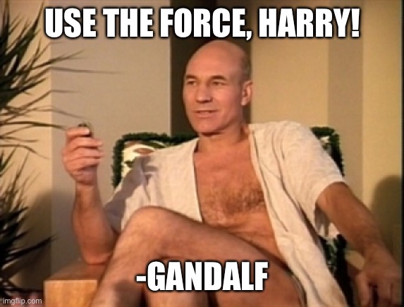 Sexual picard | USE THE FORCE, HARRY! -GANDALF | image tagged in sexual picard | made w/ Imgflip meme maker