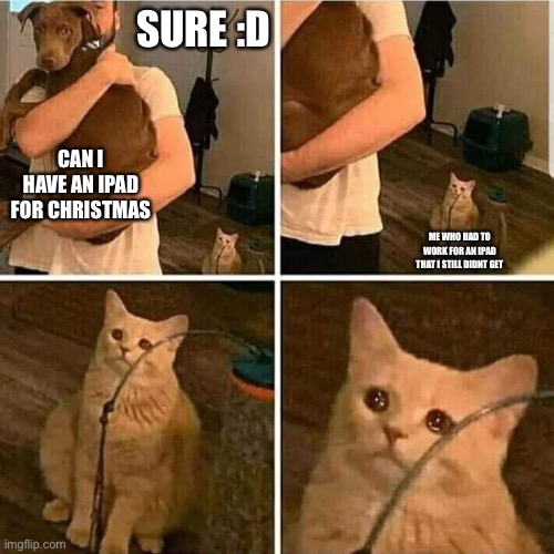 Sad Cat Holding Dog | SURE :D; CAN I HAVE AN IPAD FOR CHRISTMAS; ME WHO HAD TO WORK FOR AN IPAD THAT I STILL DIDNT GET | image tagged in sad cat holding dog | made w/ Imgflip meme maker