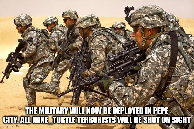 Military  | THE MILITARY WILL NOW BE DEPLOYED IN PEPE CITY. ALL MINE_TURTLE TERRORISTS WILL BE SHOT ON SIGHT | image tagged in military | made w/ Imgflip meme maker