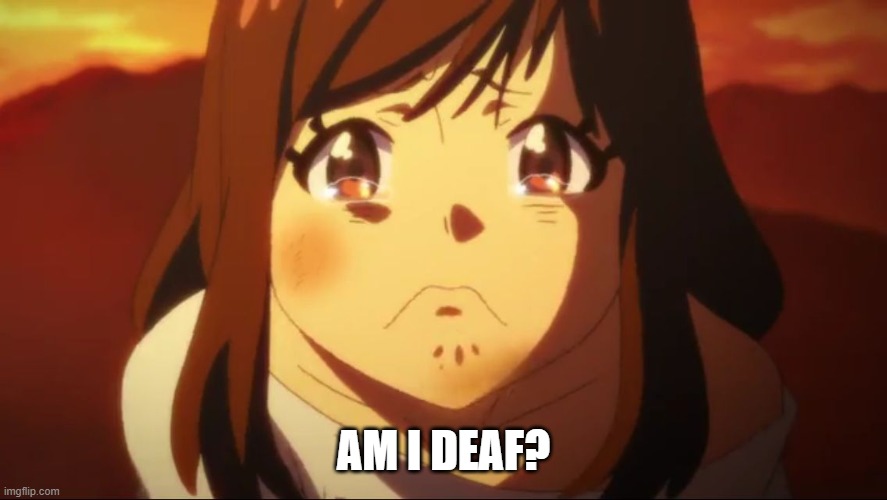 Sad anime face 1 | AM I DEAF? | image tagged in sad anime face 1 | made w/ Imgflip meme maker