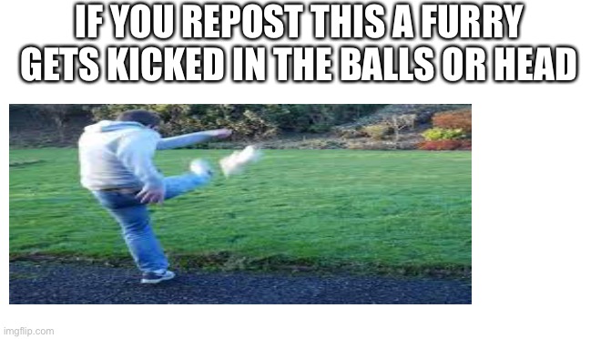 Haah furry head go BRRRRRRRRRRR | IF YOU REPOST THIS A FURRY GETS KICKED IN THE BALLS OR HEAD | image tagged in anti furry,memes,funny | made w/ Imgflip meme maker