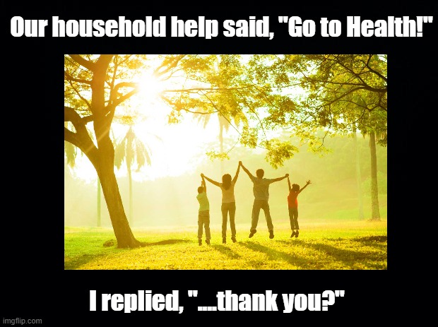 Go to health | Our household help said, "Go to Health!"; I replied, "....thank you?" | image tagged in pun,mental health,eating healthy | made w/ Imgflip meme maker