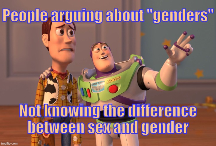 . | People arguing about "genders"; Not knowing the difference between sex and gender | image tagged in memes,x x everywhere | made w/ Imgflip meme maker