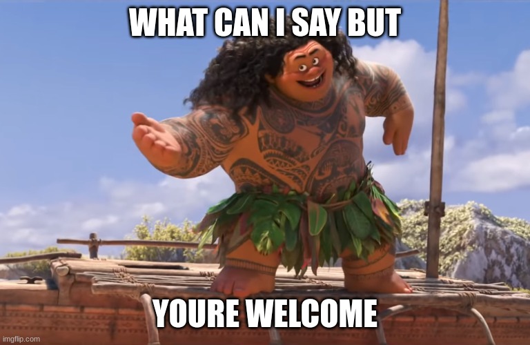 you're welcome without subs | WHAT CAN I SAY BUT YOURE WELCOME | image tagged in you're welcome without subs | made w/ Imgflip meme maker