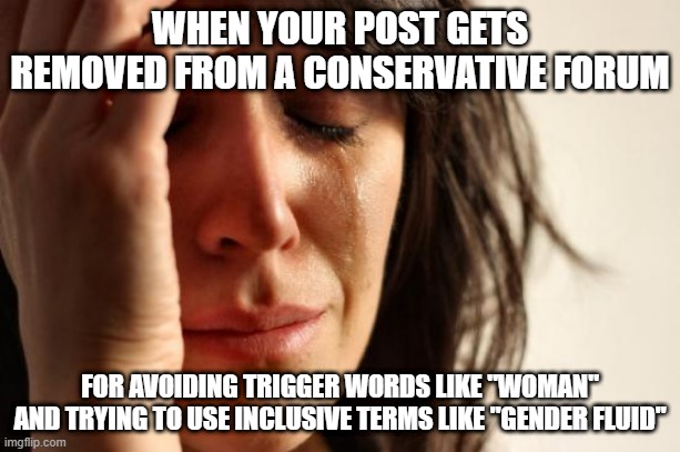 Oh no! I spilled my gender fluid again.... | WHEN YOUR POST GETS REMOVED FROM A CONSERVATIVE FORUM; FOR AVOIDING TRIGGER WORDS LIKE "WOMAN" AND TRYING TO USE INCLUSIVE TERMS LIKE "GENDER FLUID" | image tagged in memes,first world problems | made w/ Imgflip meme maker