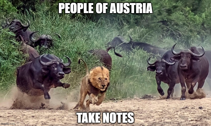 PEOPLE OF AUSTRIA; TAKE NOTES | made w/ Imgflip meme maker