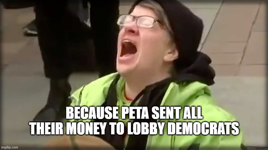Trump SJW No | BECAUSE PETA SENT ALL THEIR MONEY TO LOBBY DEMOCRATS | image tagged in trump sjw no | made w/ Imgflip meme maker