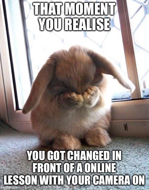 Awkward | THAT MOMENT YOU REALISE; YOU GOT CHANGED IN FRONT OF A ONLINE LESSON WITH YOUR CAMERA ON | image tagged in embarrassed bunny | made w/ Imgflip meme maker