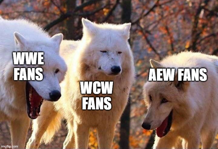 I don't know why I made this meme. | WWE FANS; AEW FANS; WCW FANS | image tagged in laughing wolf,wwe,aew,wcw | made w/ Imgflip meme maker
