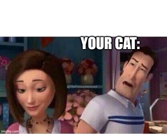 Bitch what | YOUR CAT: | image tagged in bitch what | made w/ Imgflip meme maker