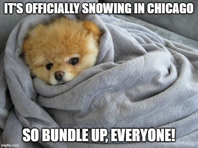 Bundled up Doggo | IT'S OFFICIALLY SNOWING IN CHICAGO; SO BUNDLE UP, EVERYONE! | image tagged in bundled up doggo,barney will eat all of your delectable biscuits | made w/ Imgflip meme maker