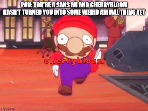 Mario POV | POV: YOU'RE A SANS AU AND CHERRYBLOOM HASN'T TURNED YOU INTO SOME WEIRD ANIMAL THING YET; cherrybloom | image tagged in mario pov | made w/ Imgflip meme maker