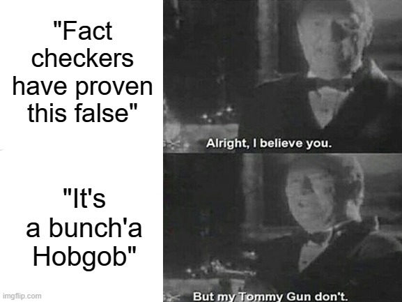 Why did I make this | "Fact checkers have proven this false"; "It's a bunch'a Hobgob" | image tagged in home alone | made w/ Imgflip meme maker