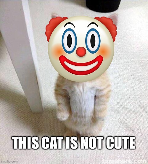 Cute Cat Meme | THIS CAT IS NOT CUTE | image tagged in memes,cute cat | made w/ Imgflip meme maker