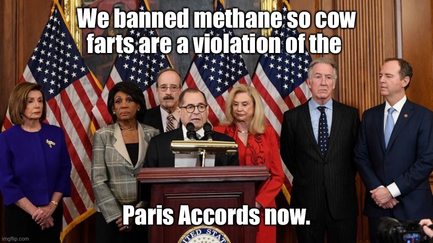 House Democrats | We banned methane so cow farts are a violation of the Paris Accords now. | image tagged in house democrats | made w/ Imgflip meme maker