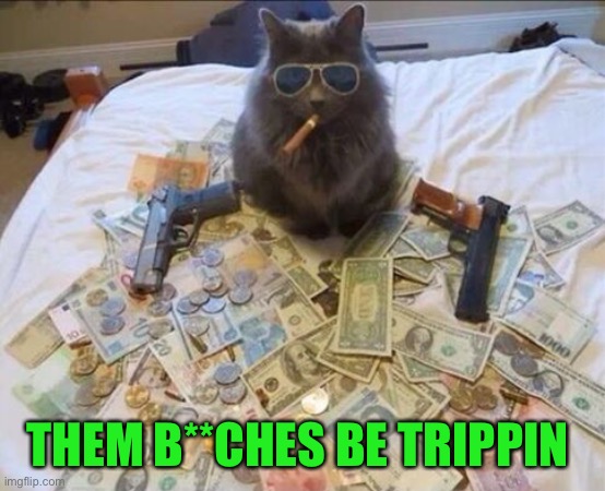 Pimp Cat Big Daddy Catnip | THEM B**CHES BE TRIPPIN | image tagged in pimp cat big daddy catnip | made w/ Imgflip meme maker