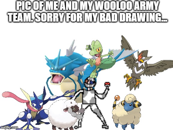 Also, to take pokemon, you need a weapon that can take it. | PIC OF ME AND MY WOOLOO ARMY TEAM. SORRY FOR MY BAD DRAWING... | made w/ Imgflip meme maker