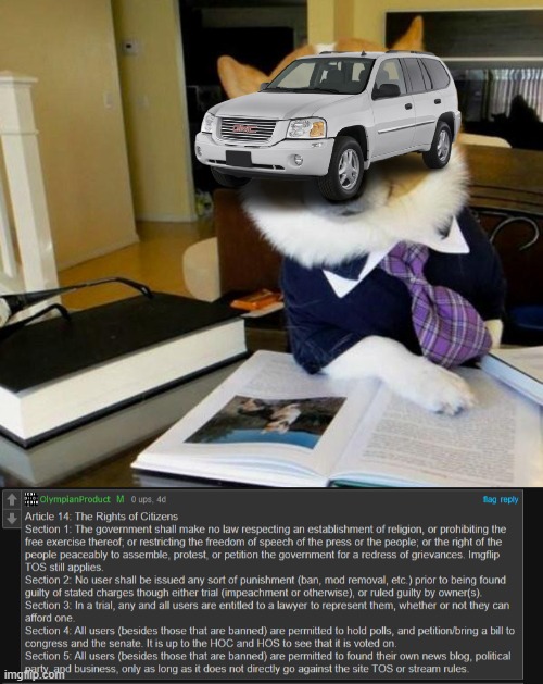 image tagged in lawyer corgi dog | made w/ Imgflip meme maker