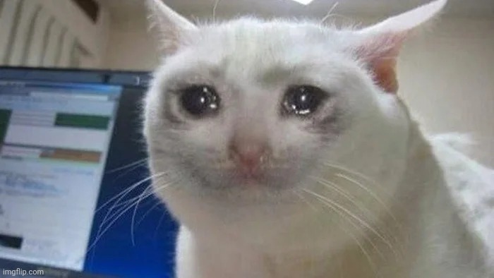 Cat cry | image tagged in cat cry | made w/ Imgflip meme maker