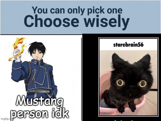 Mustang person idk | made w/ Imgflip meme maker