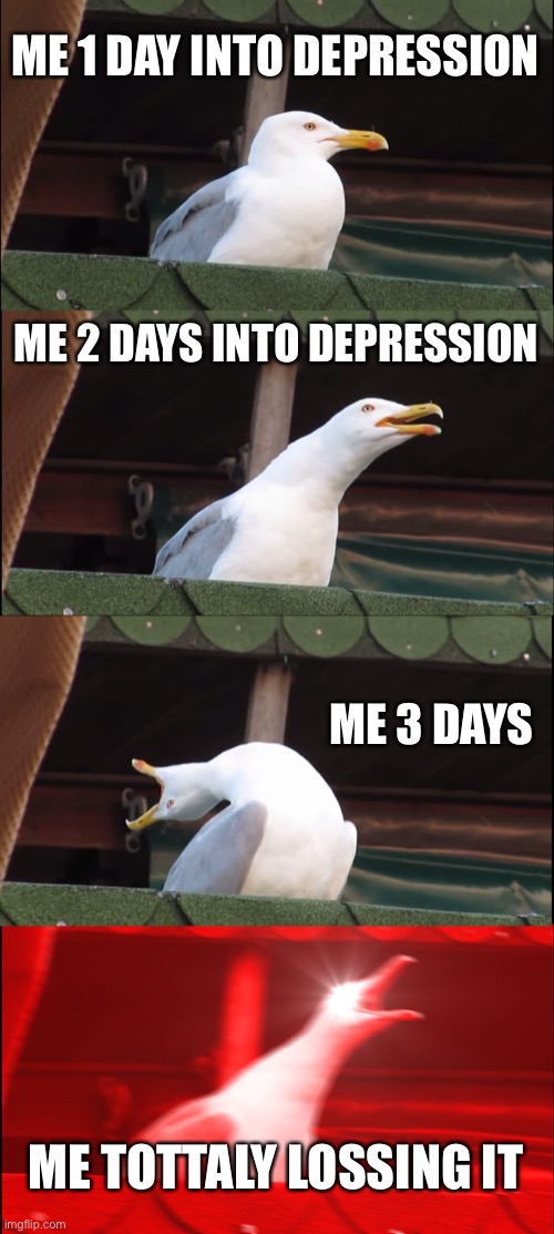 Help me? | ME 1 DAY INTO DEPRESSION; ME 2 DAYS INTO DEPRESSION; ME 3 DAYS; ME TOTTALY LOSSING IT | image tagged in memes,inhaling seagull | made w/ Imgflip meme maker