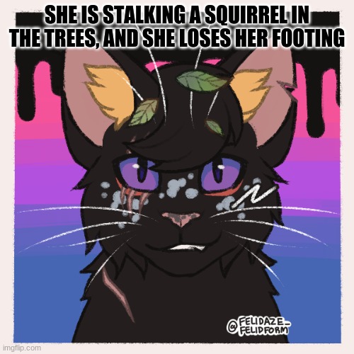 She's a young warrior named GoreFur | SHE IS STALKING A SQUIRREL IN THE TREES, AND SHE LOSES HER FOOTING | image tagged in warrior cat roleplay | made w/ Imgflip meme maker