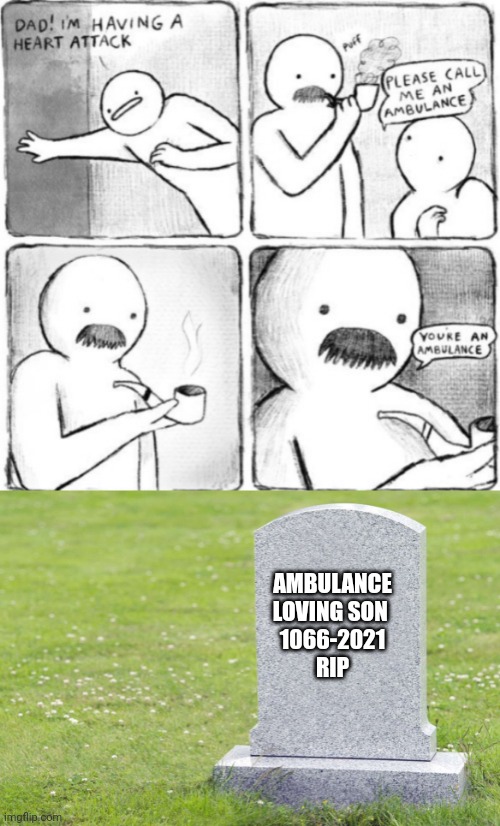 Puns kill | AMBULANCE
LOVING SON 
1066-2021
RIP | image tagged in dad joke | made w/ Imgflip meme maker