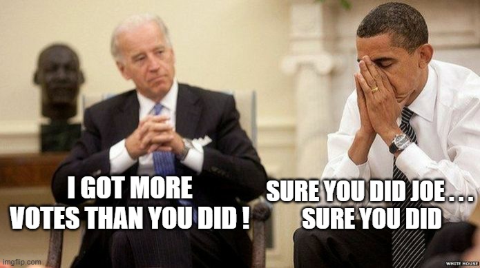 Joe Biden and obama facepalm | I GOT MORE VOTES THAN YOU DID ! SURE YOU DID JOE . . . 
SURE YOU DID | image tagged in joe biden and obama facepalm | made w/ Imgflip meme maker