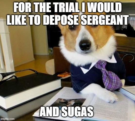 Lawyer Corgi Dog | FOR THE TRIAL I WOULD LIKE TO DEPOSE SERGEANT; AND SUGAS | image tagged in lawyer corgi dog | made w/ Imgflip meme maker