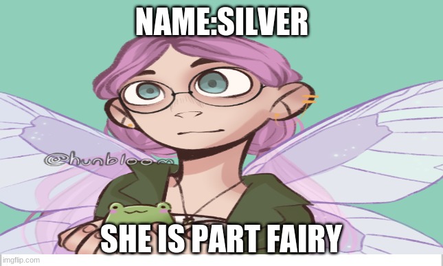 NAME:SILVER SHE IS PART FAIRY | made w/ Imgflip meme maker