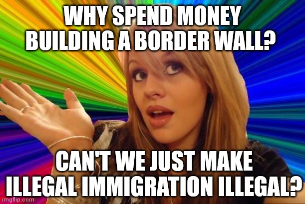 Someone, somewhere, at some time in the last 20 years has said this in public. We know it! |  WHY SPEND MONEY BUILDING A BORDER WALL? CAN'T WE JUST MAKE ILLEGAL IMMIGRATION ILLEGAL? | image tagged in memes,dumb blonde,border wall,laws,dumb people | made w/ Imgflip meme maker
